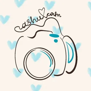 @ dashu cam