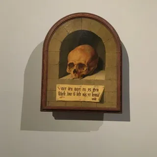 The head’s cage