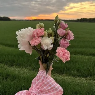 رَاء 🌿
