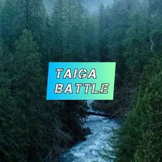 Taiga Battle
