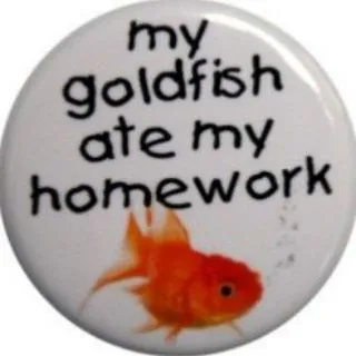 Really goldfish 🥺
