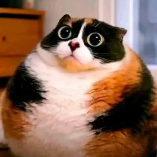 gmitx