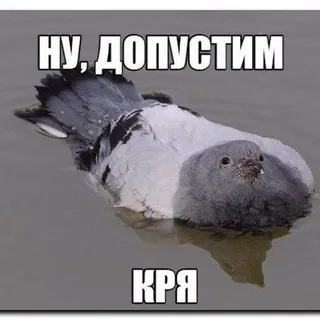 Подслушано косплей Набережные Челны и Нижнекамск