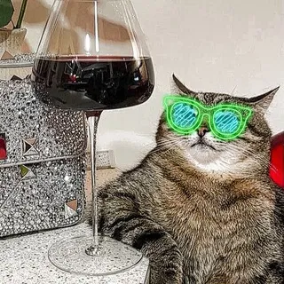 чат pb