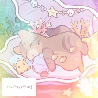 cats and soup conf!!
