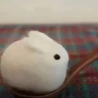 кэфи
