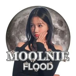 РЕСТ ВЛД. moolnie flood