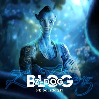 Блог Z-Dog