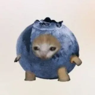 Кивико 🫧