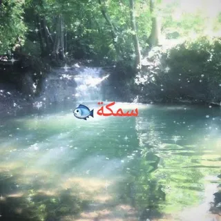 PoL ETO Akvarium🐬🐳🐟