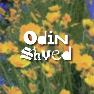 ODIN SHVED