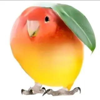 l1yma