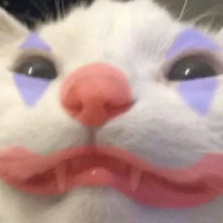 я пошутил