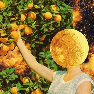 вянут руки