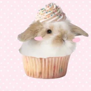 ツロイのかわいい城 🧁