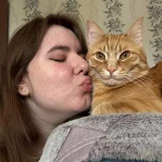 Будни с рыжим котом