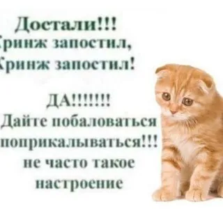 Без Паники