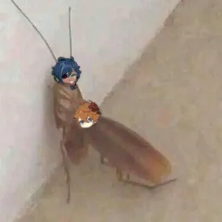 jewfish