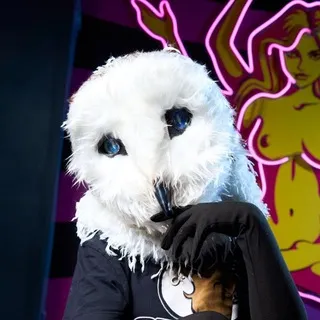 ℭσɞγɯκɑ ƜᎿσ℘ɱ🦉
