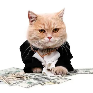 RICH CRYPTO BITCH Chat
