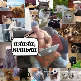 Мемовое хранилище