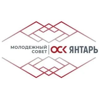 ⚓️Молодежный совет | ОСК Янтарь ⚓️