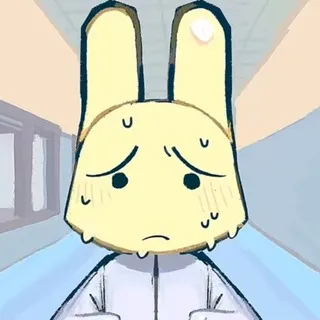 Animals Hospital cf