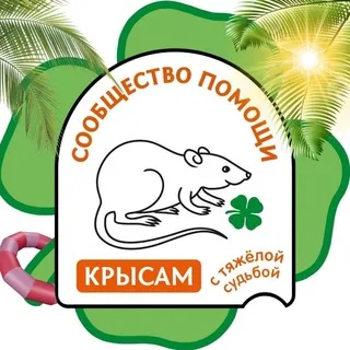 Сообщество помощи крысам с тяжелой судьбой