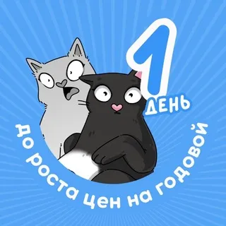 обществознание и котики / ЕГЭ ОГЭ 2027 стадикэтс