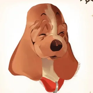 Закулисье Аниты