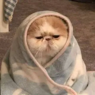 кириж🎏