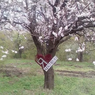 Раввин Желобка