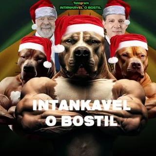INTANKAVEL O BOSTIL