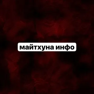 | • 𝙃𝙀𝘼𝙑𝙀𝙉𝙇𝙔 ᶦᶰᶠᵒ ᶜʰᵃᶰᶰᵉᶫ♱