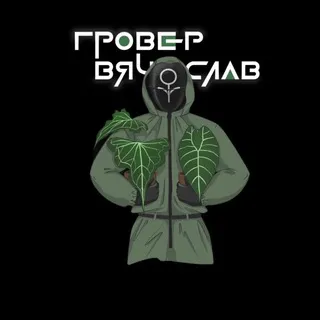 Гровер Вячеслав | Блог о жизни растениевода