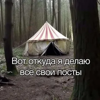 ⸙Вересковая пустошь⸙