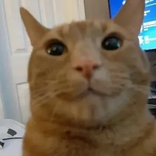 прикольная фигнюшка !ГГ