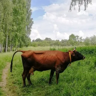 #СпасиУзкое ОБСУЖДЕНИЯ