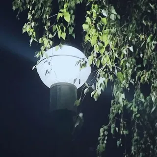 Уᴦᴏᴧᴏᴋ ᴄᴨᴏᴋᴏйᴄᴛʙия🍃