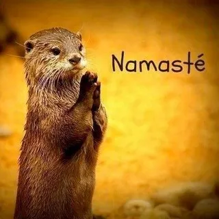 Пидиᴩᴀᴄᴛ 👍