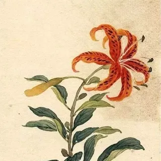 jardin d'orange