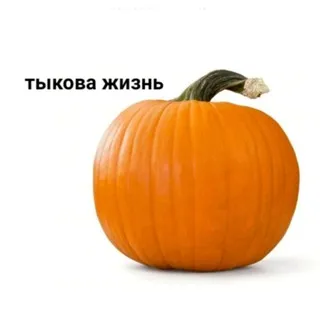 muzTVыква 😼