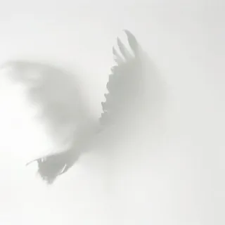A99