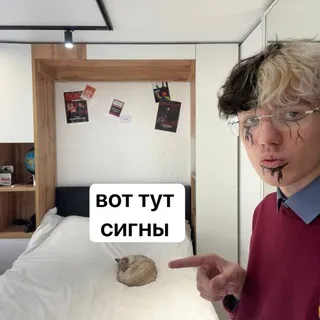 сигны p.g.l.n’a !