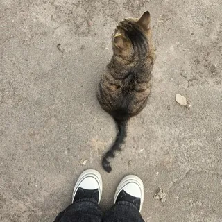 Прайс