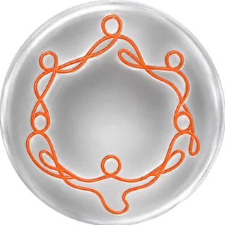 ONI