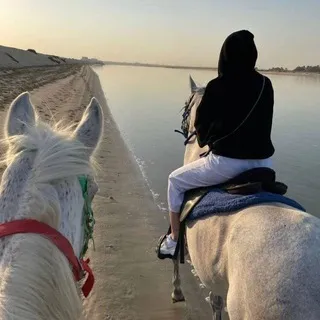 𝓶𝓮𝓵𝓵𝓲𝓯𝓵𝓾𝓸𝓾𝓼🌙
