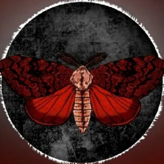 Moth Lake and.. confession