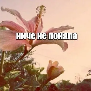 I'M NOT A PHOTOGRAPHER
