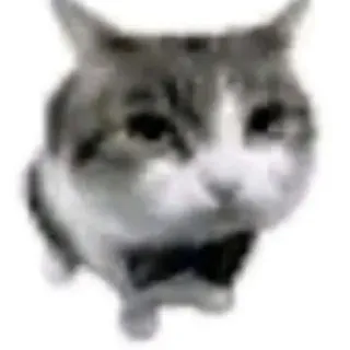 Тучка
